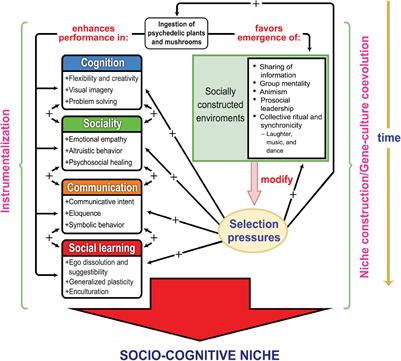 Psychedelics, Sociality, and Human Evolution